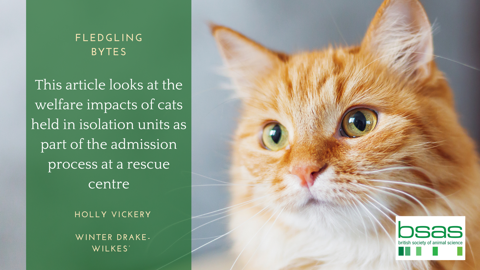 The impact of puzzle feeders and water bowl raisers as feline ...