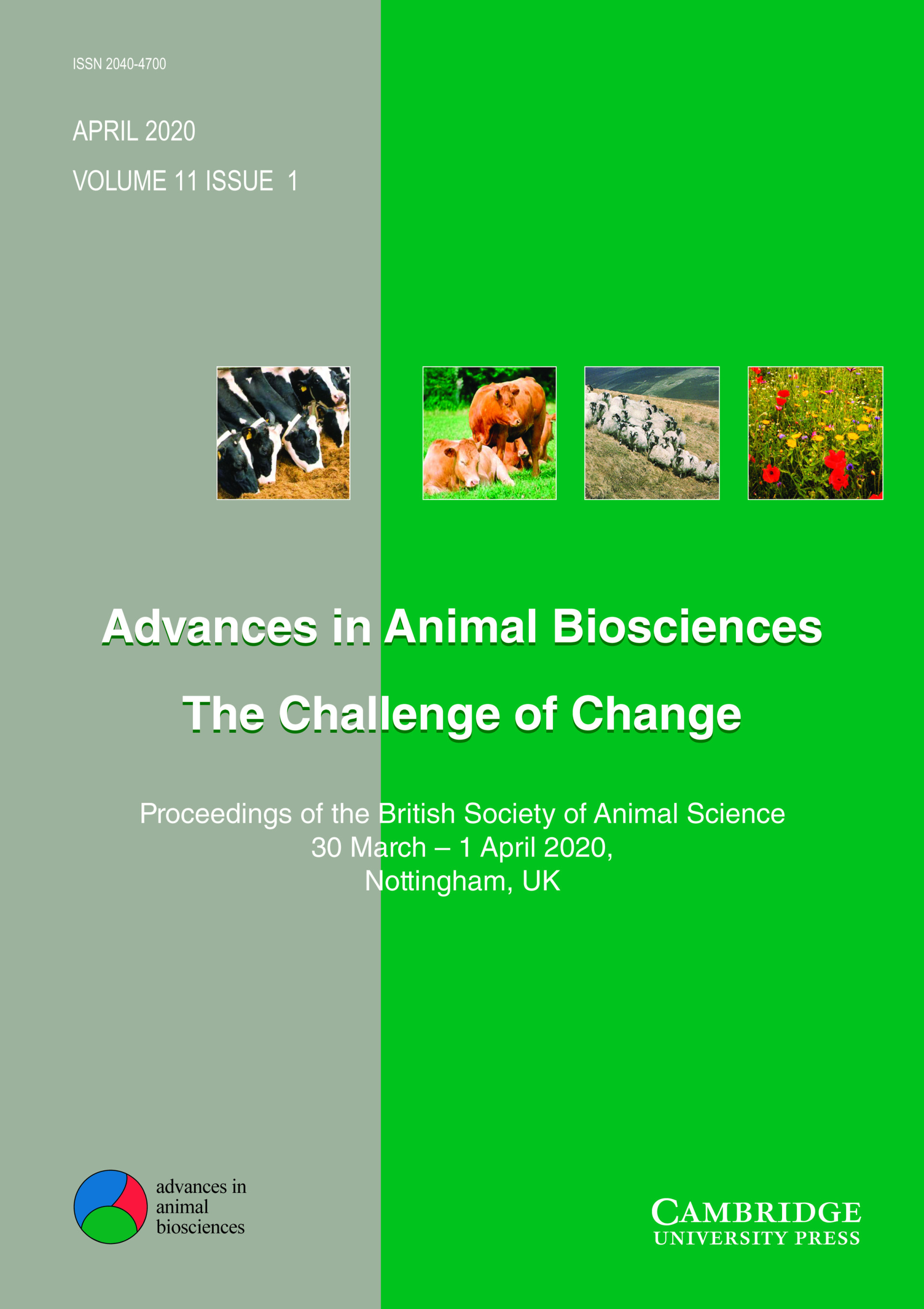 BSAS 2020 Proceedings