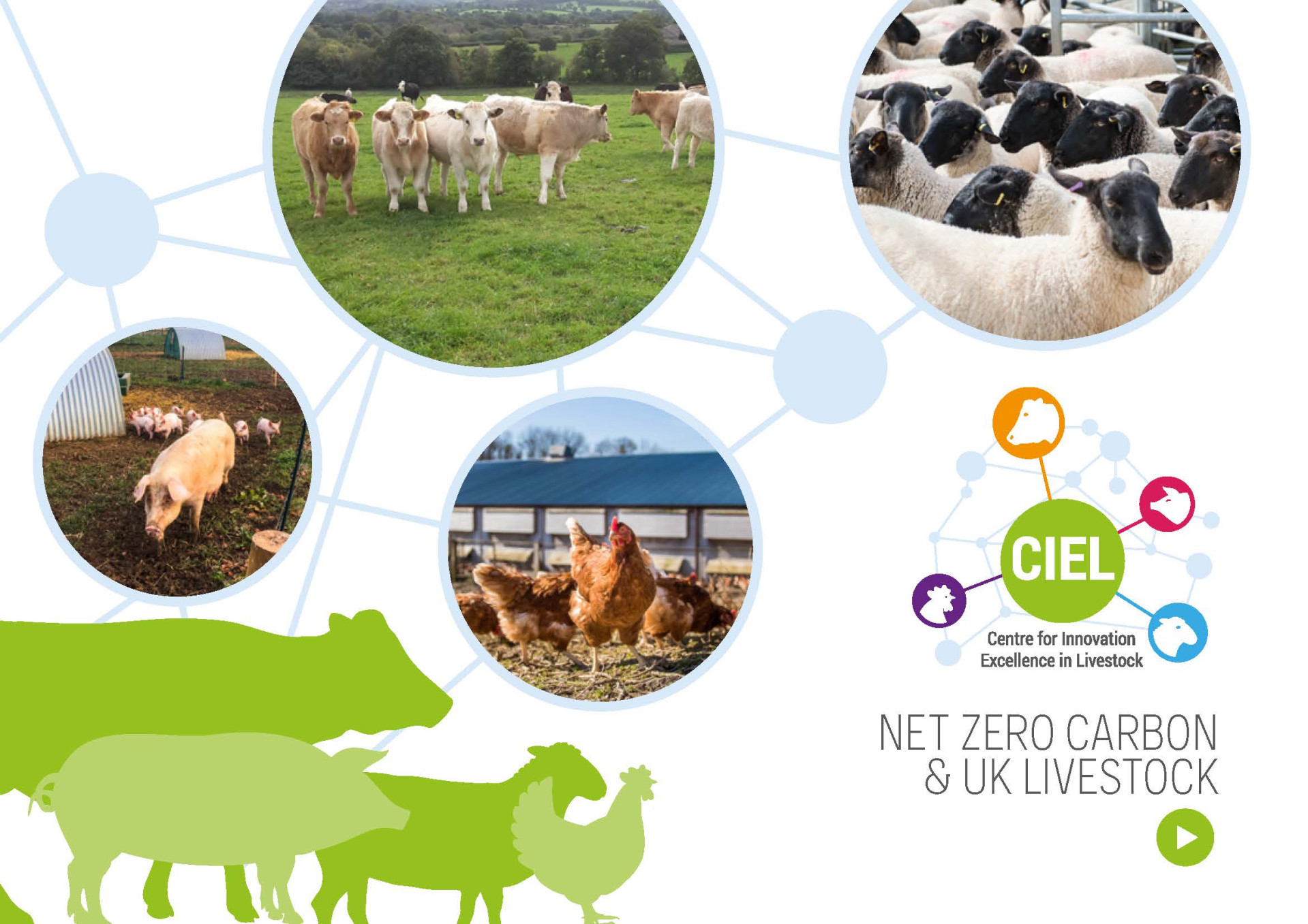 CIEL-Net-Zero-Carbon-UK-Livestock (2021)