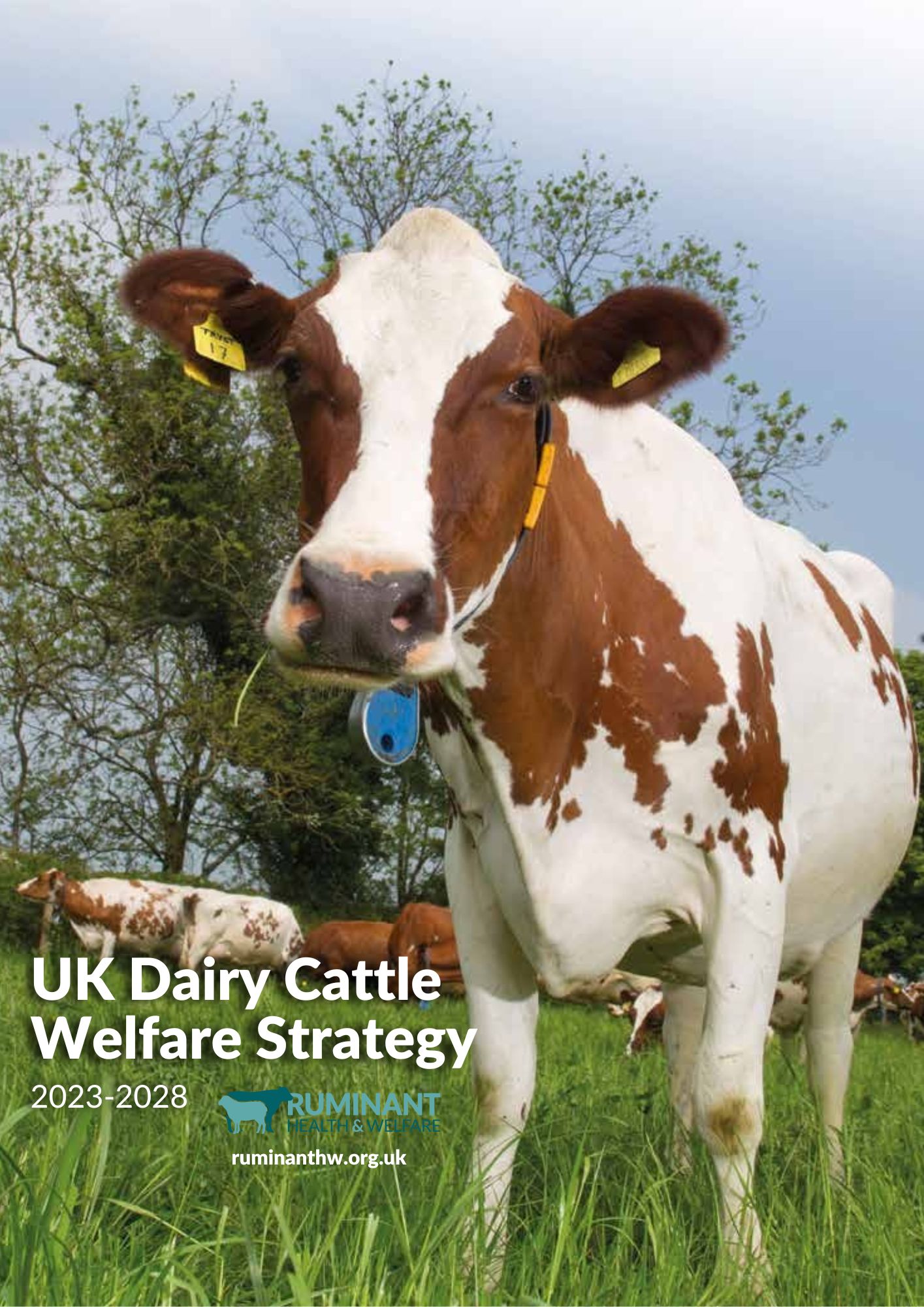 UK Dairy Cattle Welfare Strategy 2023 - 2028