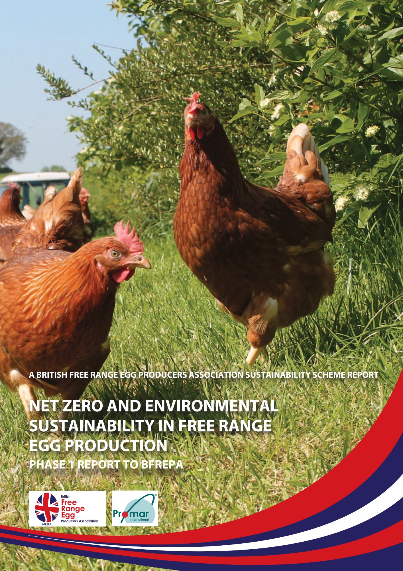 Environmental sustainability in British free range egg production 