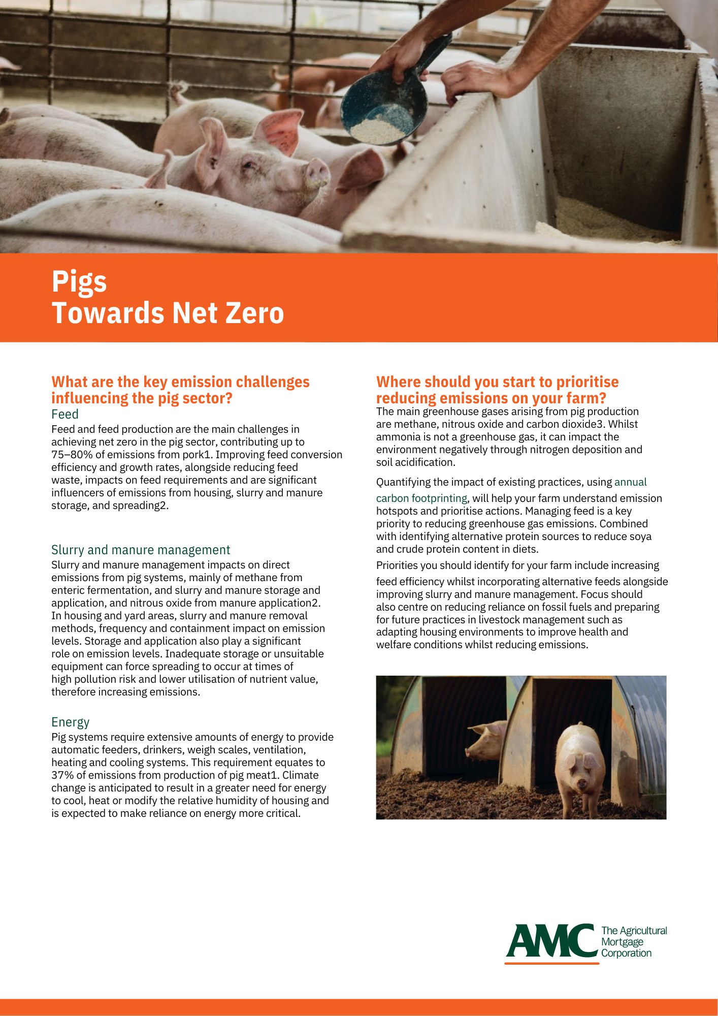 Pigs Towards Net Zero