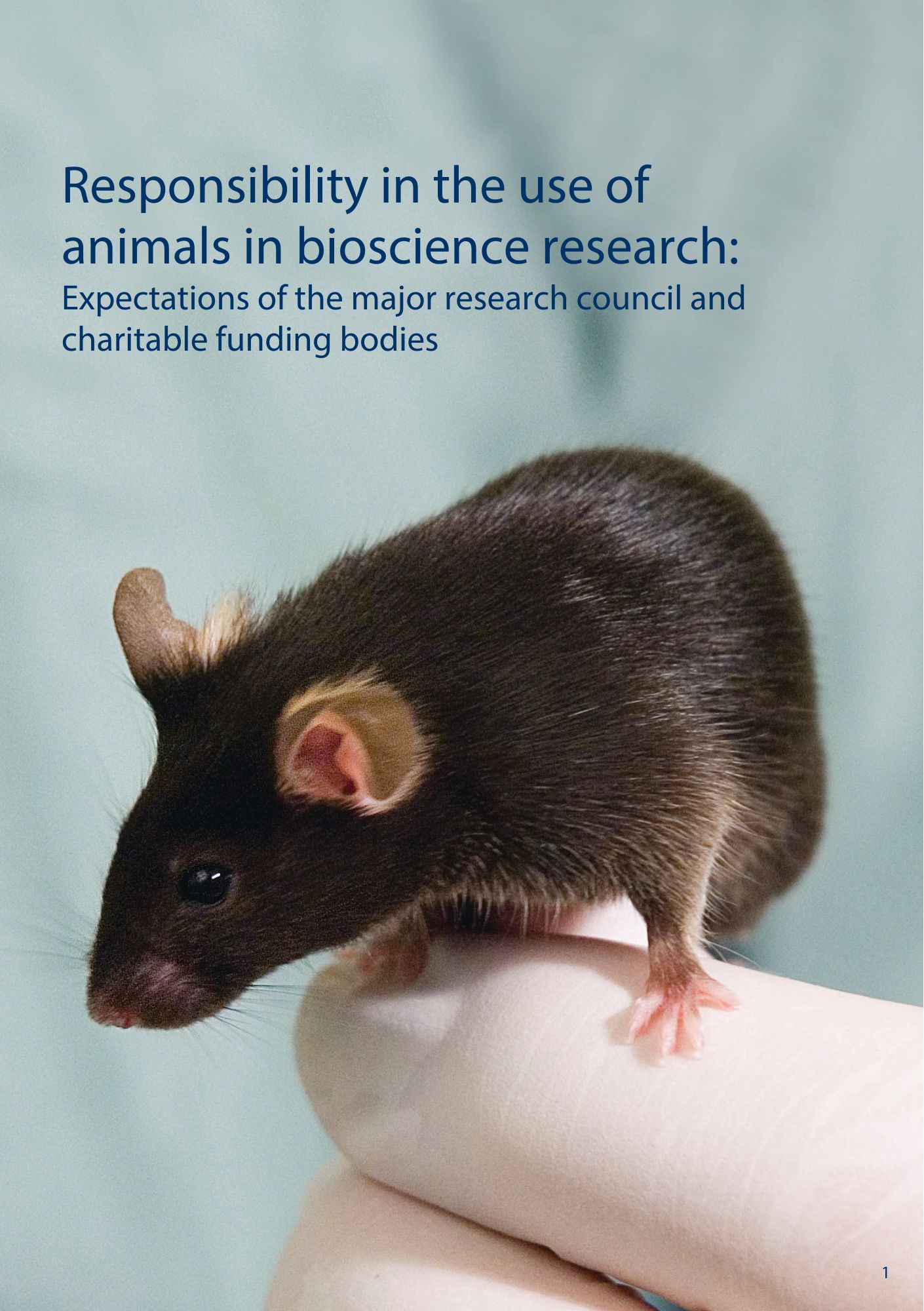 NC3Rs - Responsibility in the use of animals in bioscience research